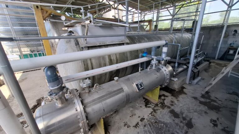 WhatsApp Image 2025-08-27 at 11.31