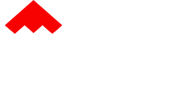 Mega Chemicals